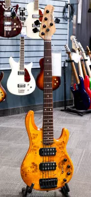 Store Special Product - Sterling by Music Man - StingRay Ray35HH 5-String Bass - Amber